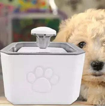 Pet Drinking Fountain