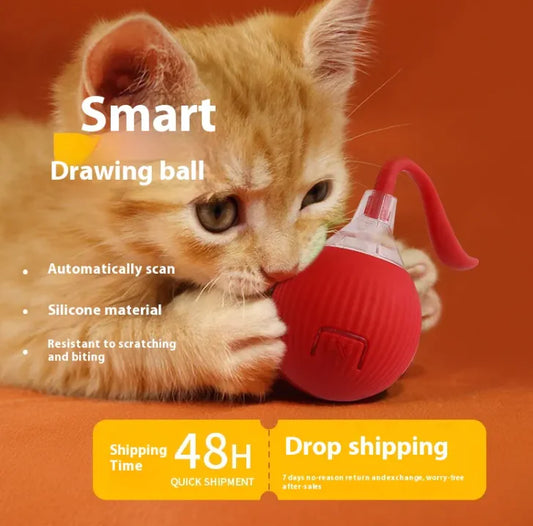 Rolling Fun Cat Toy Ball