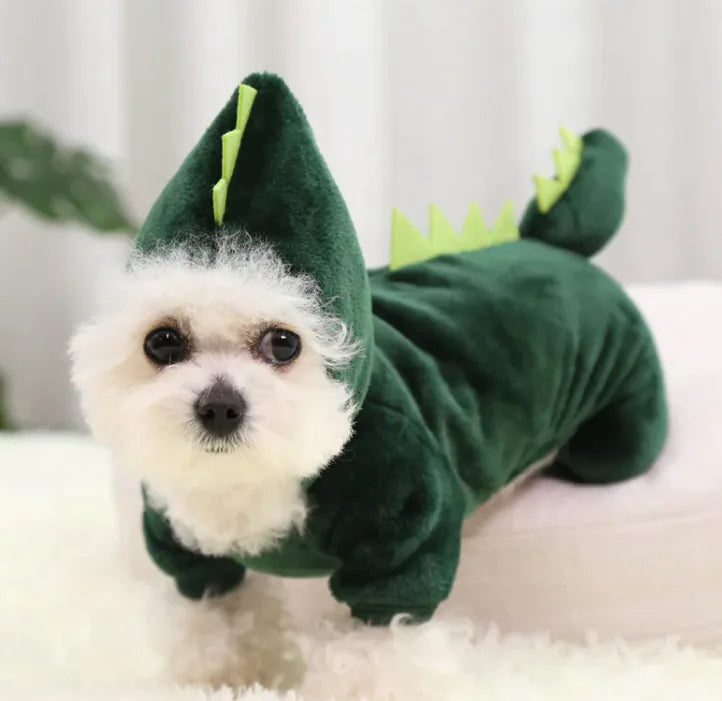 Cozy Dinosaur Pet Apparel