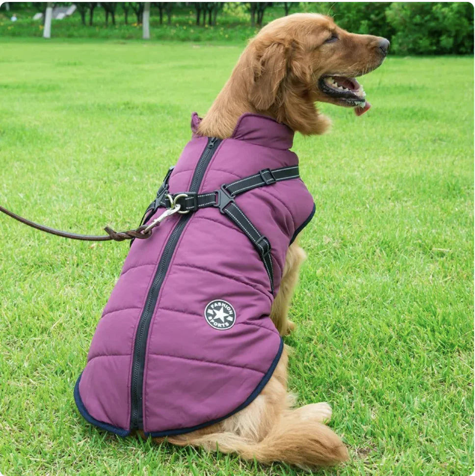 Reflective Waterproof Dog Coat for Autumn and Winter